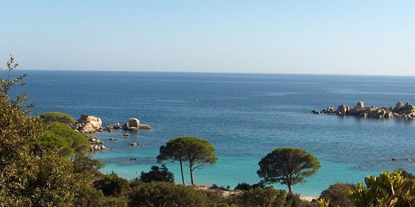 Comment trouver les derniers billets à bas prix pour voyager cet été ?