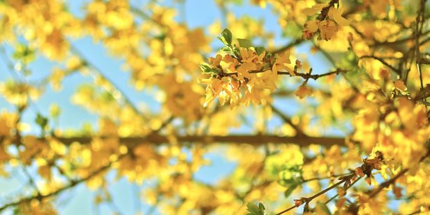 Vacances de Printemps : il est encore temps de partir sans se ruiner