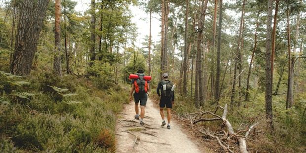 La gare mystère dans la forêt de Fontainebleau