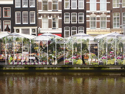 Marché aux fleurs d'Amsterdam au bord du canal Singel